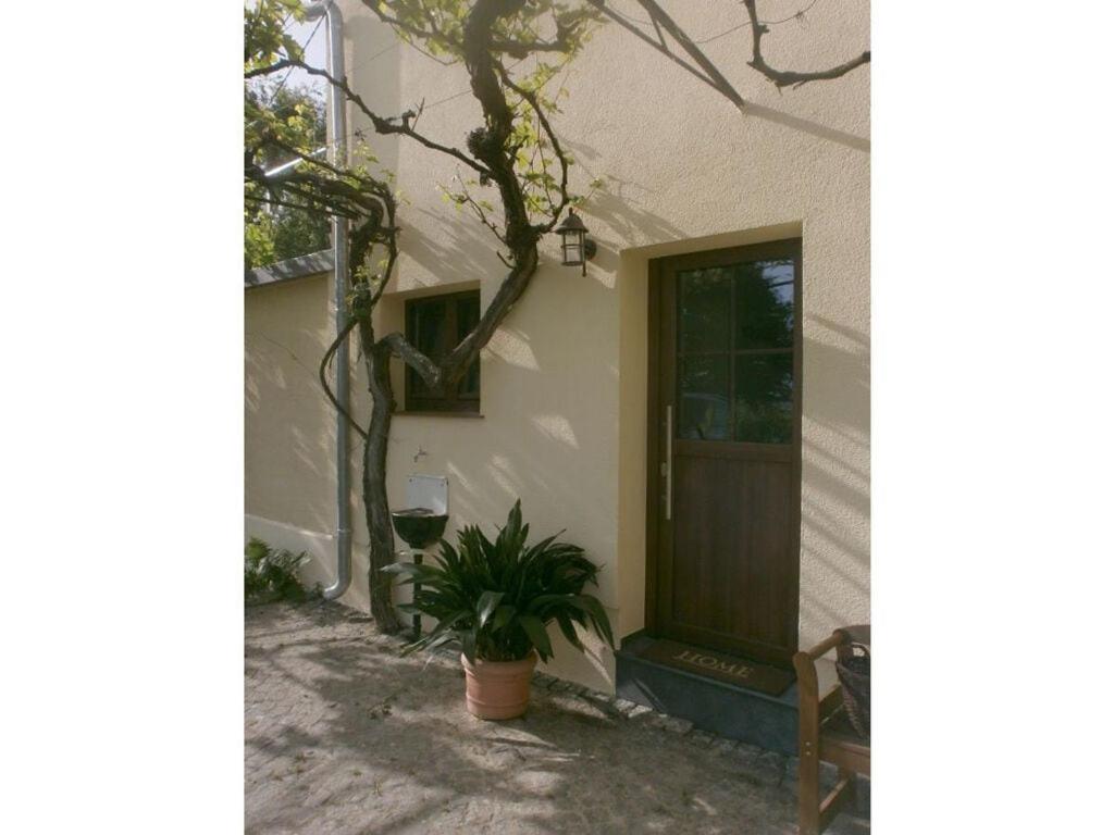 a house with a plant in front of a door at Country house Messerschmitt in Böchingen
