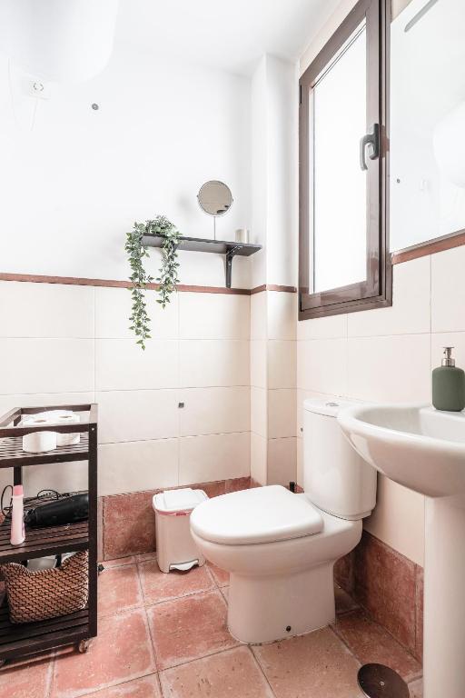 Fotografia z galérie ubytovania Fantástico ático 2 hab y gran terraza privada v destinácii Seville