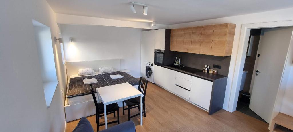 Kuchyň nebo kuchyňský kout v ubytování Naia Apartments
