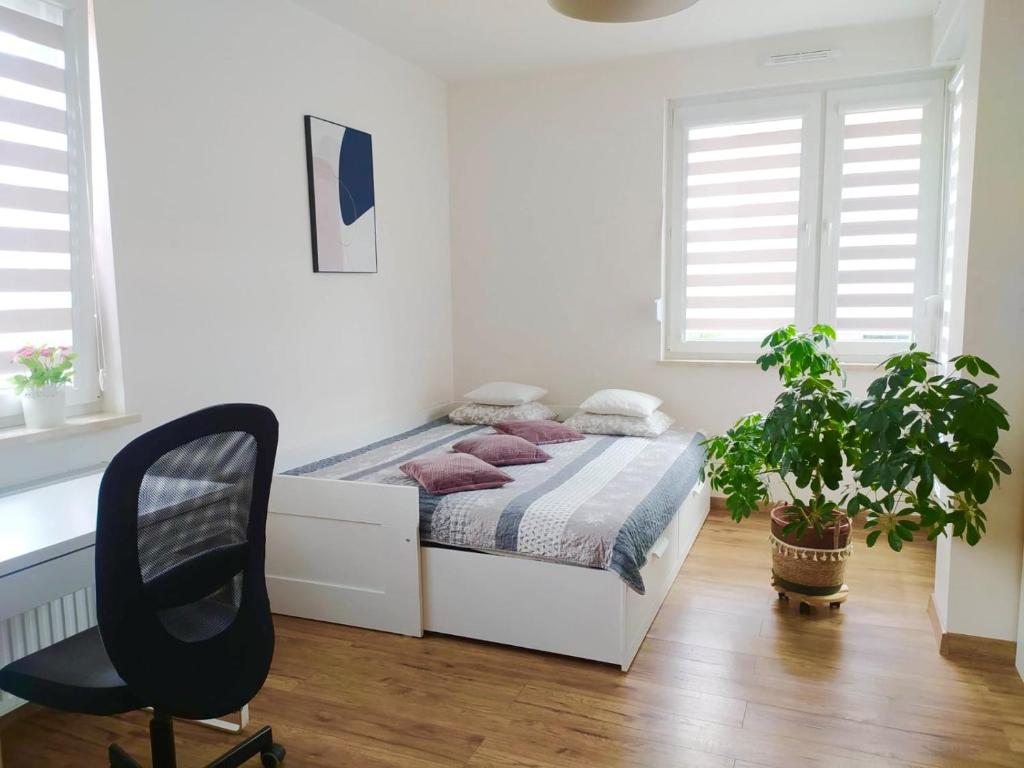 Apartament Łagiewniki - 11