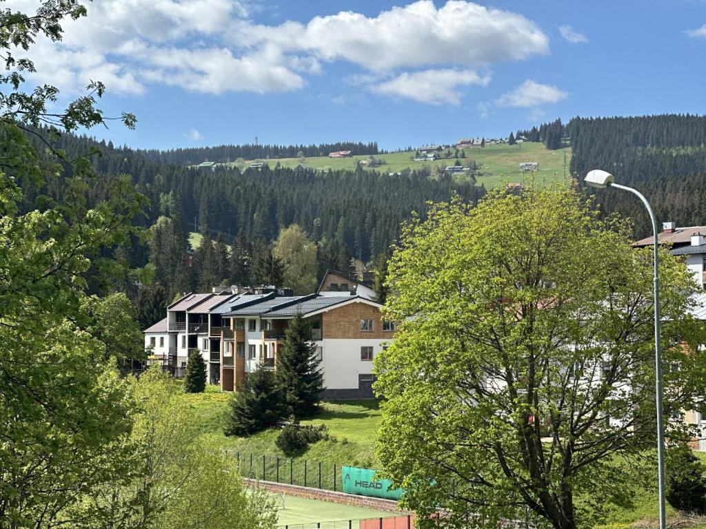 Příroda nedaleko apartmánu