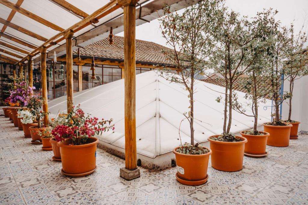 Zahrada ubytování Hotel Casa Alquimia
