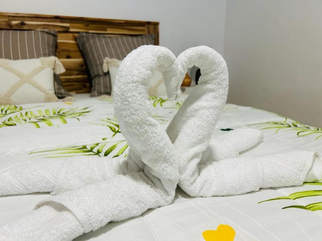 2 cygnes faits de serviettes sur un lit dans l'établissement Gîte Délia Les Makes, à Saint-Louis