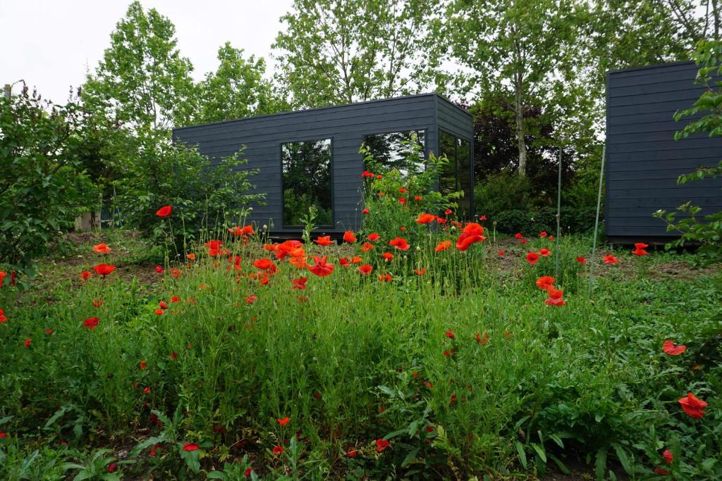 a black building in a field of red flowers at Casuta Artar - Therme & Aeroport Otopeni in Corbeanca