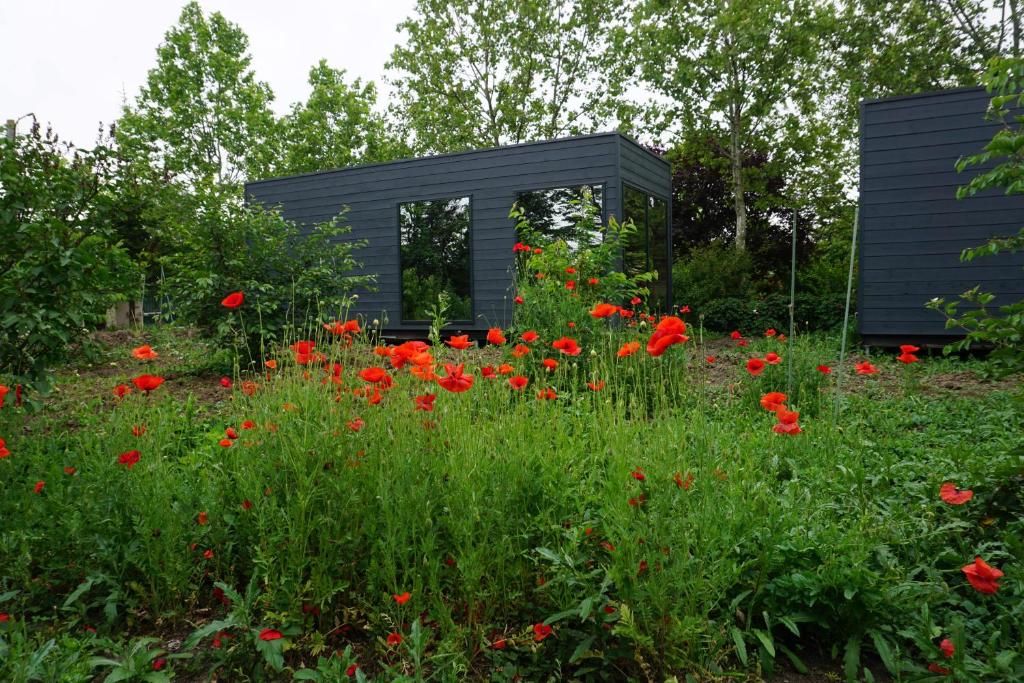 un bâtiment noir dans un champ de fleurs rouges dans l'établissement Casuta Cires - Therme & Aeroport Otopeni, à Corbeanca