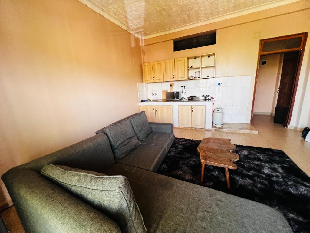 a living room with a couch and a kitchen at The home hive apartment in Kampala