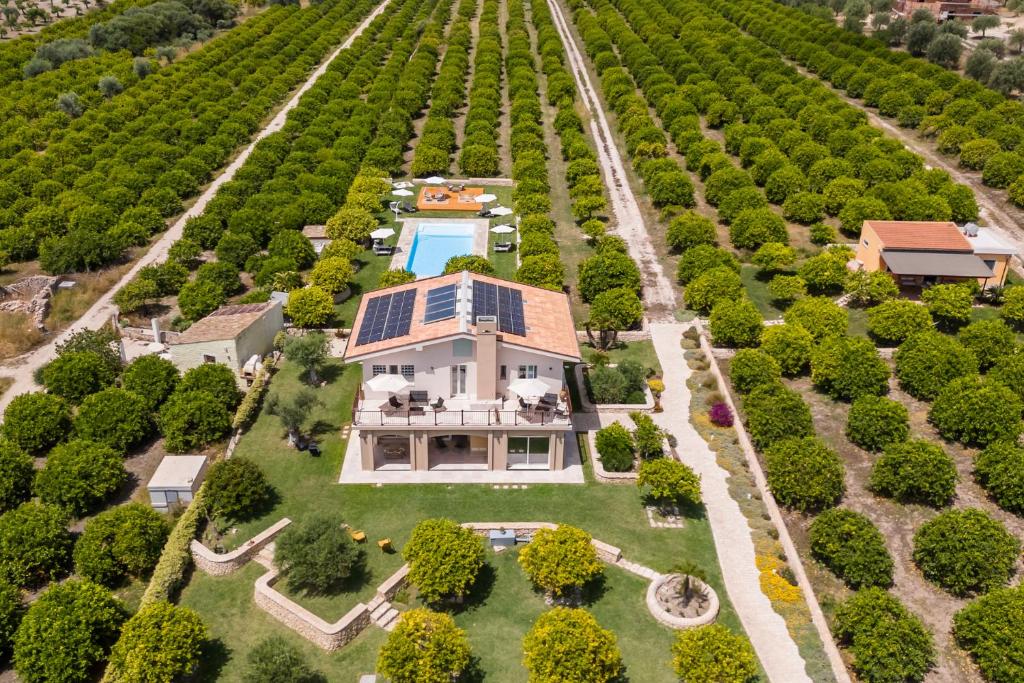 an aerial view of a house in a vineyard at Fiore di Vendicari B&B - Sicilian Charme, Lemon Grove and Sea in Noto