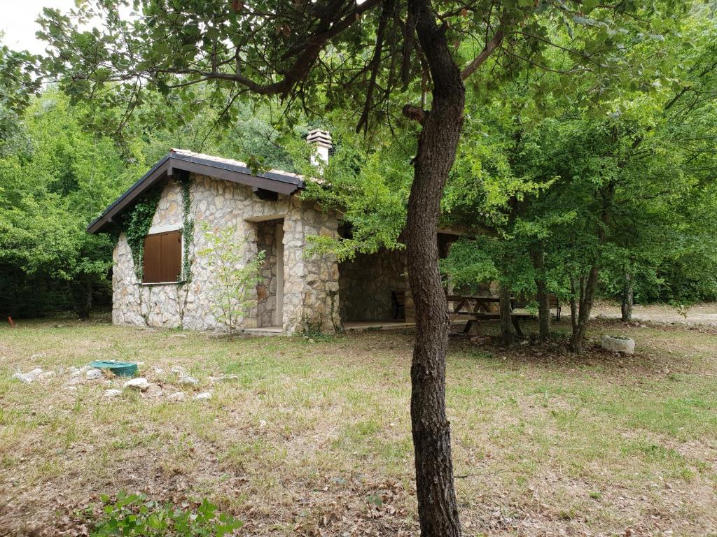 mały kamienny dom na podwórku z drzewem w obiekcie Il Rifugio dei Briganti w mieście Caramanico Terme
