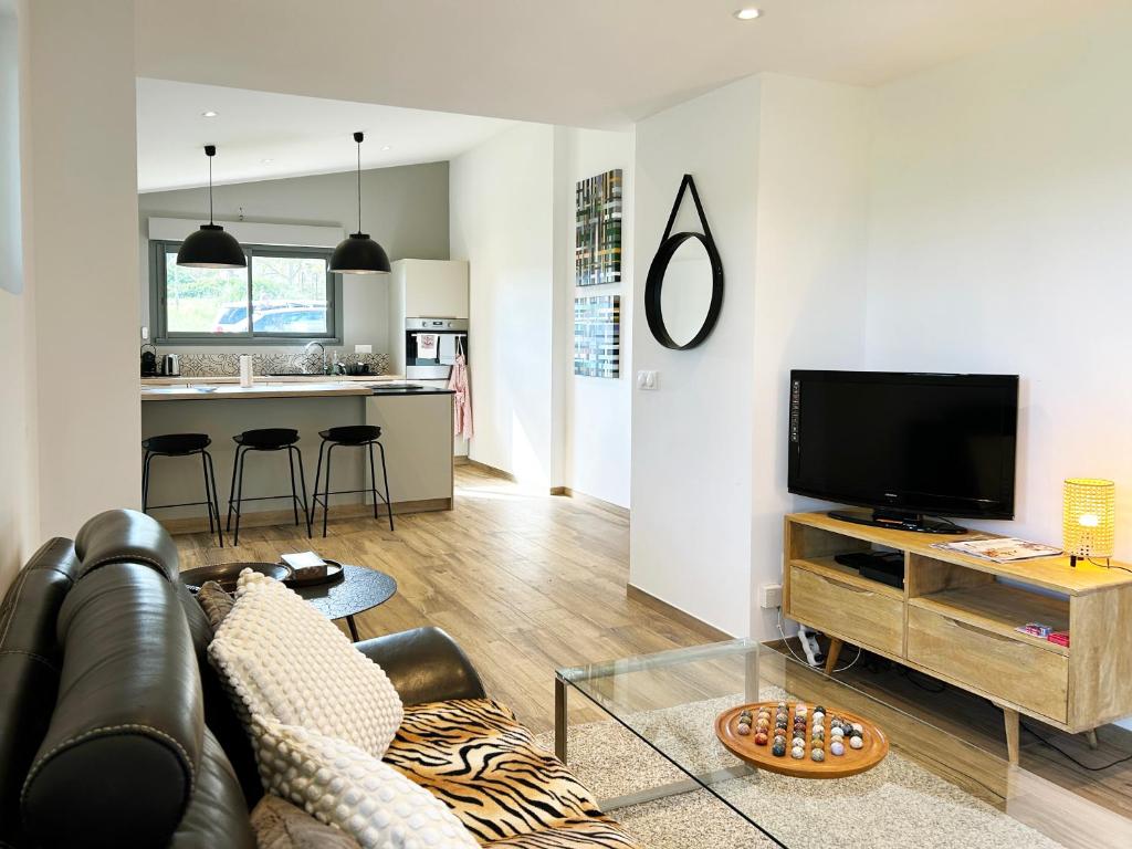 TV a/nebo společenská místnost v ubytování Le Petit Cabanon Provençal