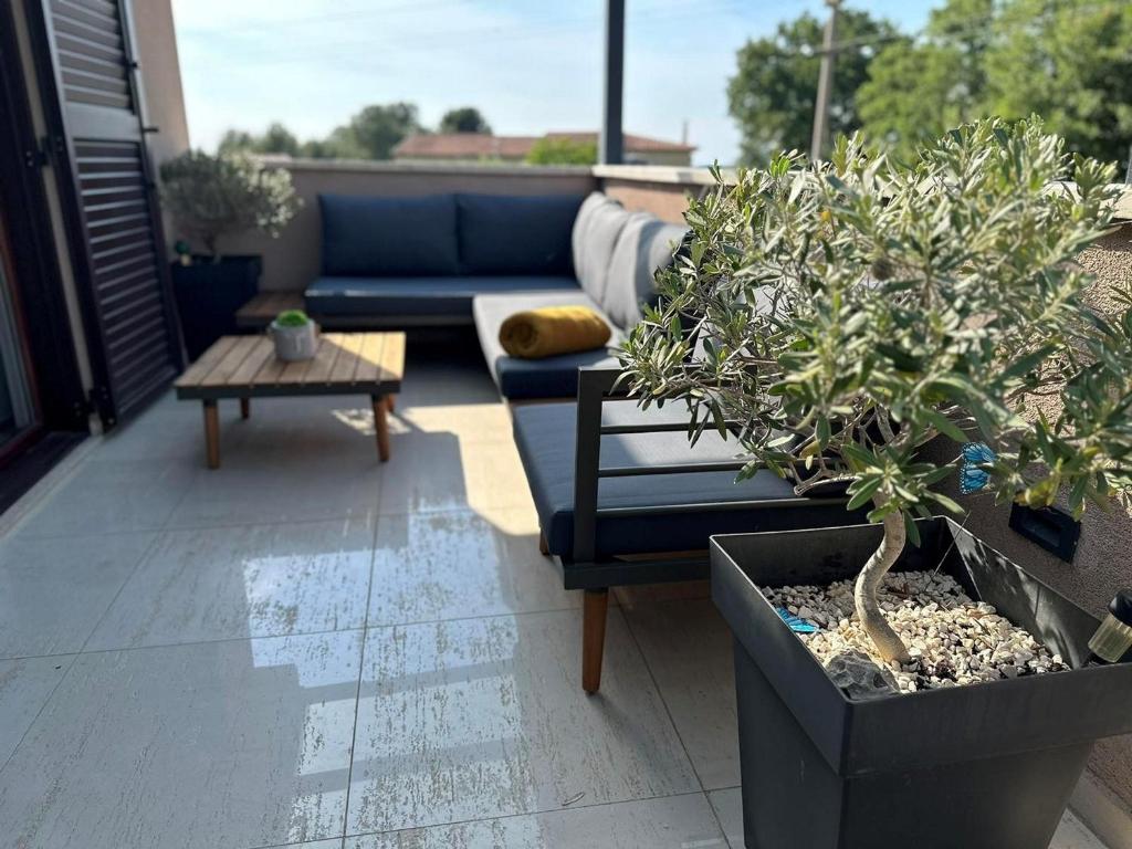 eine Terrasse mit einem blauen Sofa und Topfpflanzen in der Unterkunft Apartment David in Dračevac