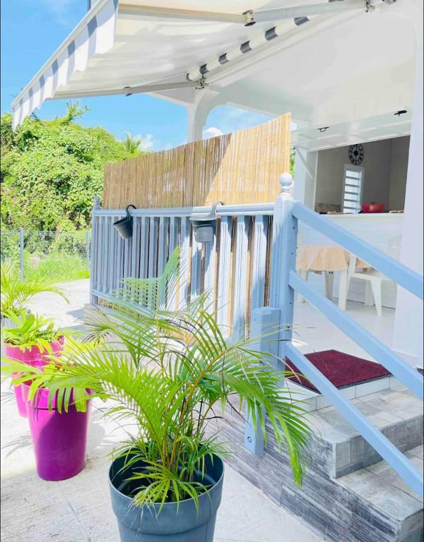 Sunshine Privilège tesisinde bir balkon veya teras