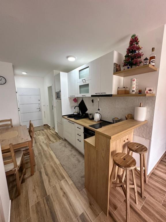 Köök või kööginurk majutusasutuses Apartman Jelica Divčibare