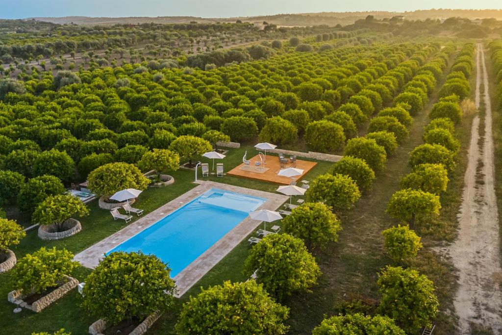 an aerial view of a vineyard with a swimming pool in the middle at Fiore di Vendicari B&B - Sicilian Charme, Lemon Grove and Sea in Noto