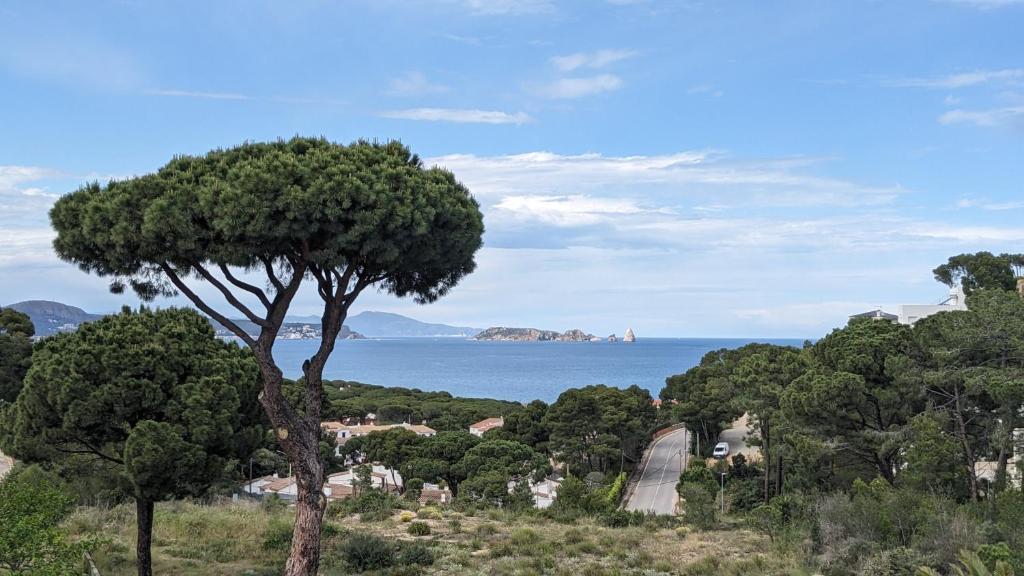 Hotel Sa Punta - Adults Only fr13 - 15