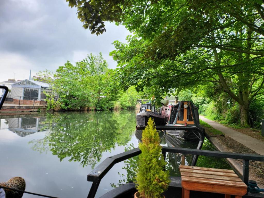 倫敦的住宿－Unique Canal Boat in London Centre for Family & Friends，一条河上长着长凳和树木的船