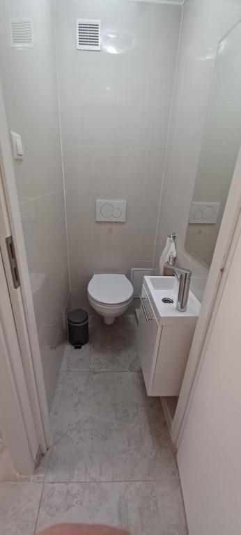 Kúpeľňa v ubytovaní Palace Apartment