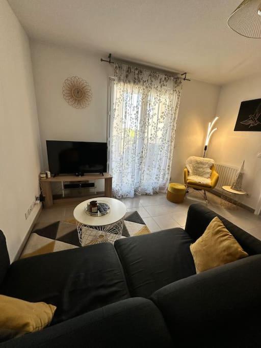 un salon avec un canapé et une table dans l'établissement Le Lironde - charmant F2, à Montpellier