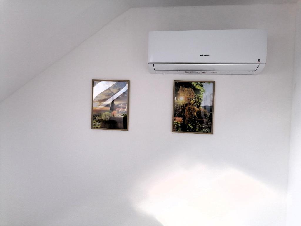 Fotografie z fotogalerie ubytování Víno Andrusiów ve Znojmě