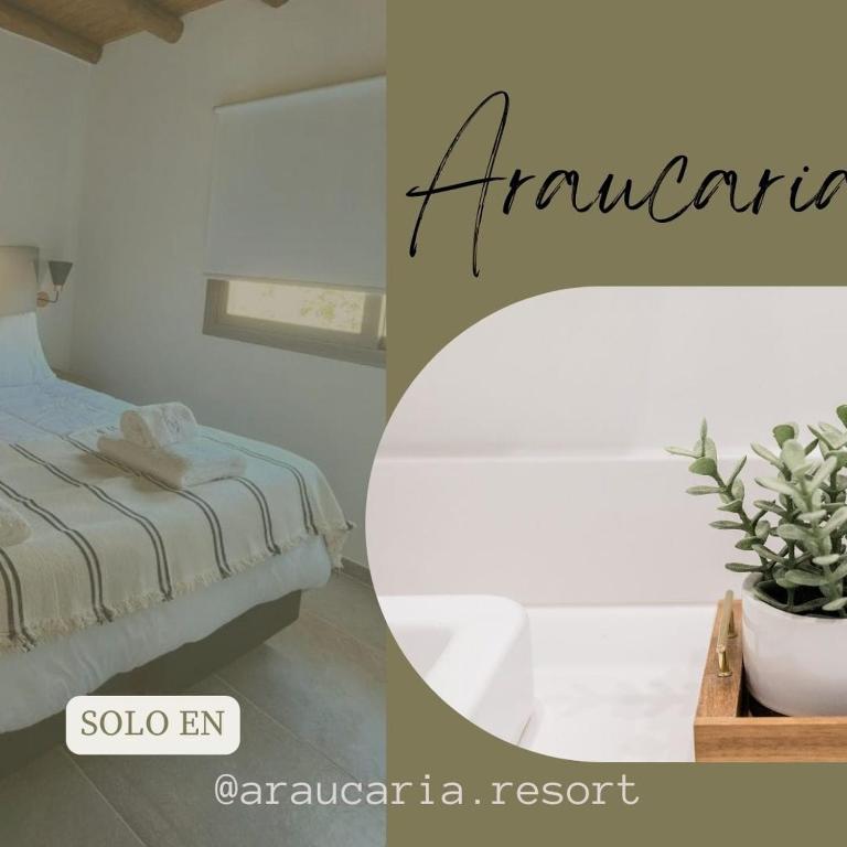 a room with a bed and a potted plant at ARAUCARIA Resort in San Rafael