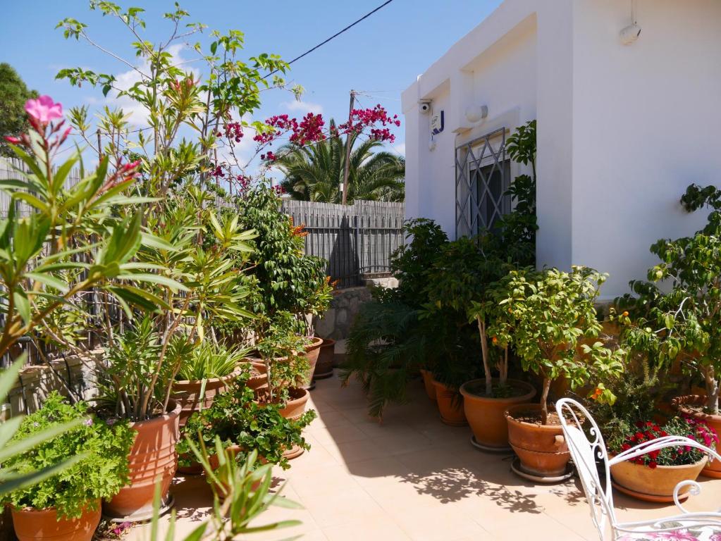Fotografia z galérie ubytovania 250 metres from the sea an independent tiny house with a yard full of flowers! Spitaki the Little House! v destinácii Ierápetra