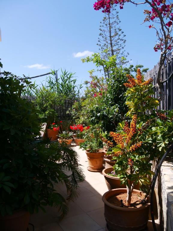 Fotografia z galérie ubytovania 250 metres from the sea an independent tiny house with a yard full of flowers! Spitaki the Little House! v destinácii Ierápetra
