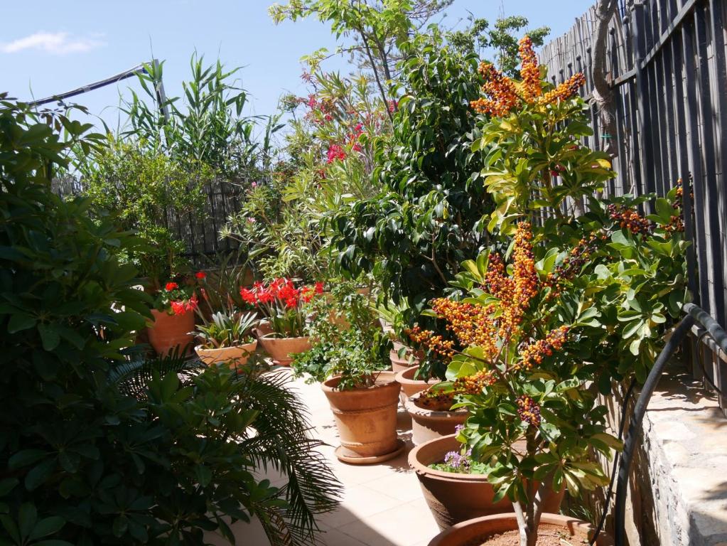 Fotografia z galérie ubytovania 250 metres from the sea an independent tiny house with a yard full of flowers! Spitaki the Little House! v destinácii Ierápetra