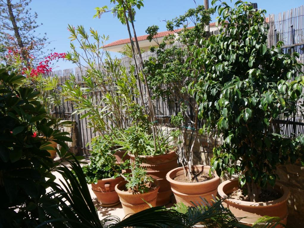 Fotografia z galérie ubytovania 250 metres from the sea an independent tiny house with a yard full of flowers! Spitaki the Little House! v destinácii Ierápetra