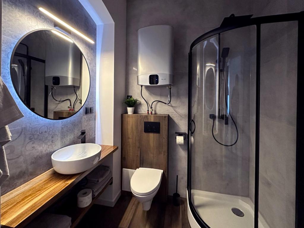 uma casa de banho com um WC, um lavatório e um chuveiro em Apartament Miła 2 em Lądek-Zdrój