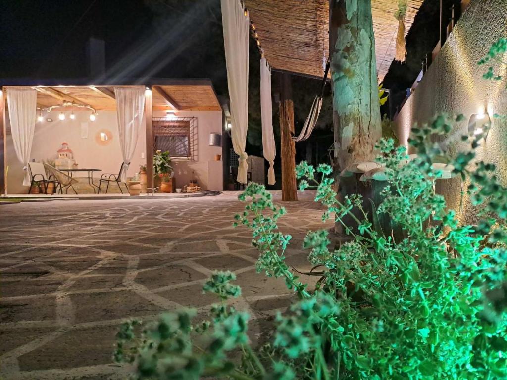 Zahrada ubytování Ideal House with Private Pool & Parking