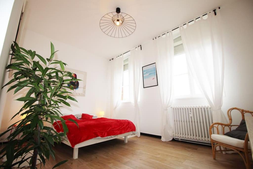 Photo de la galerie de l'établissement Charmant T2 vue sur cathédrale, à Amiens