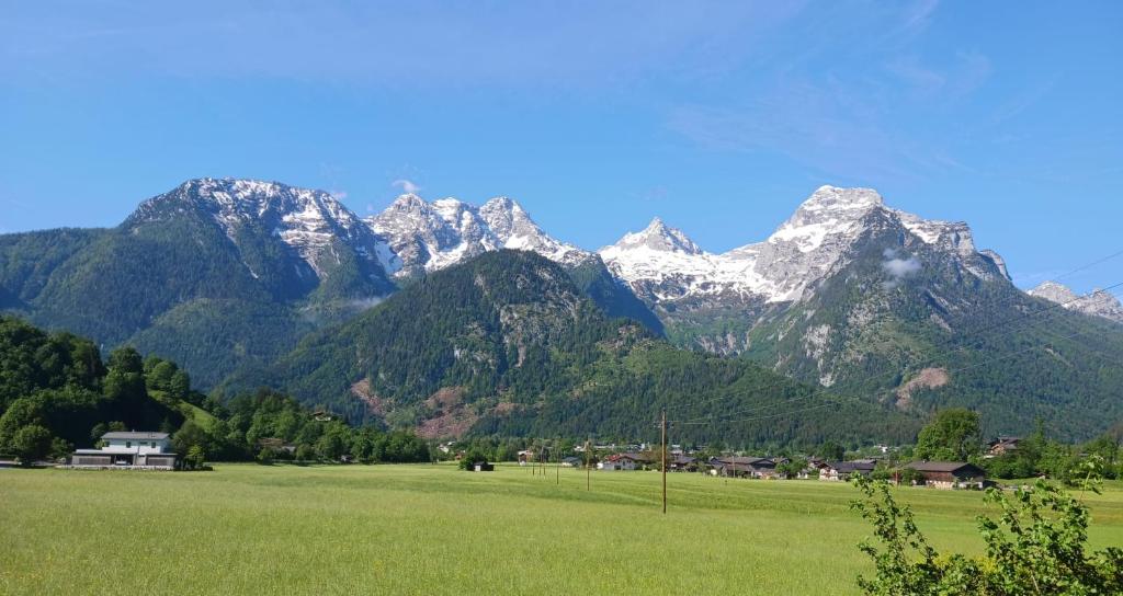 eine Bergkette mit schneebedeckten Bergen auf einem Feld in der Unterkunft Ferienwohnung Anton in Lofer