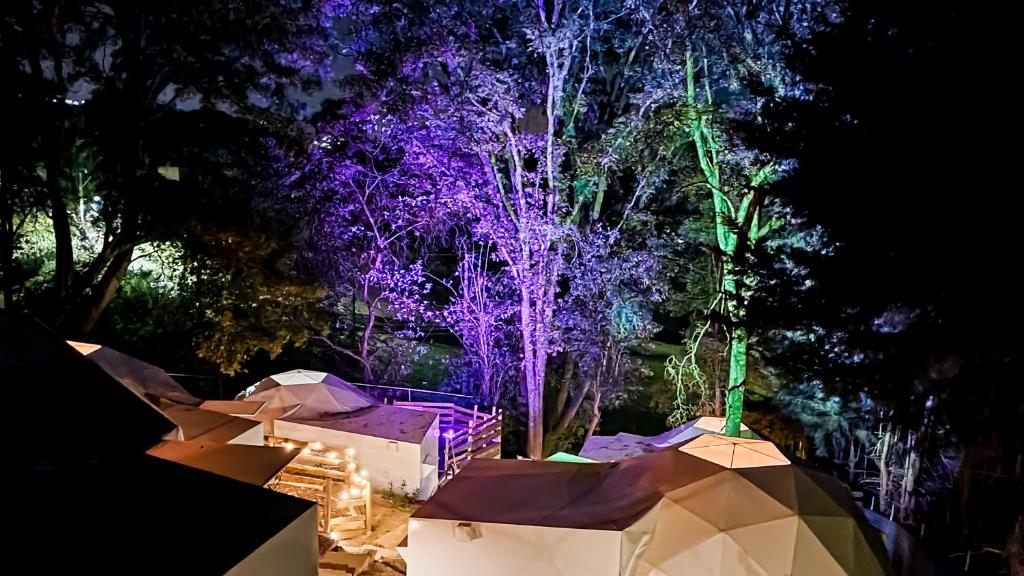 Fotografie z fotogalerie ubytování Glamping-Zingo v destinaci Santa Ana Jilotzingo