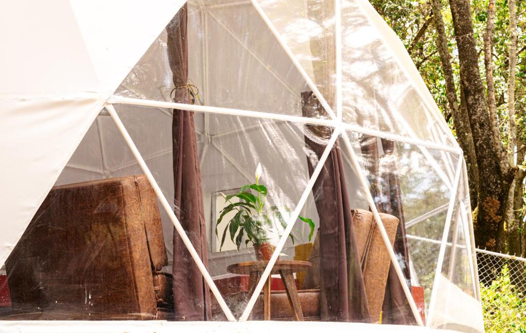 Zahrada ubytování Glamping-Zingo