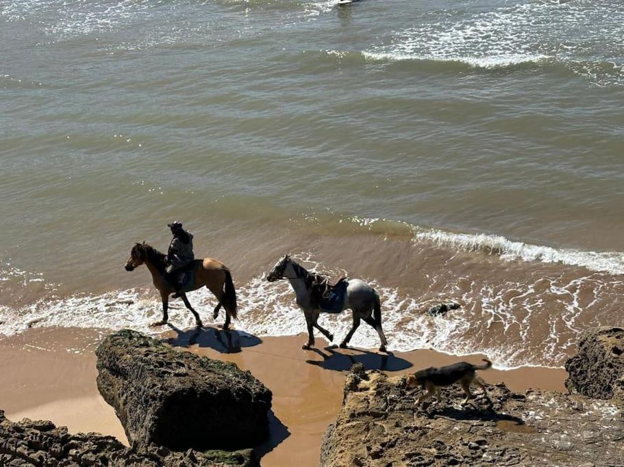 two people are riding horses on the beach at apartment vue Mer in Agadir