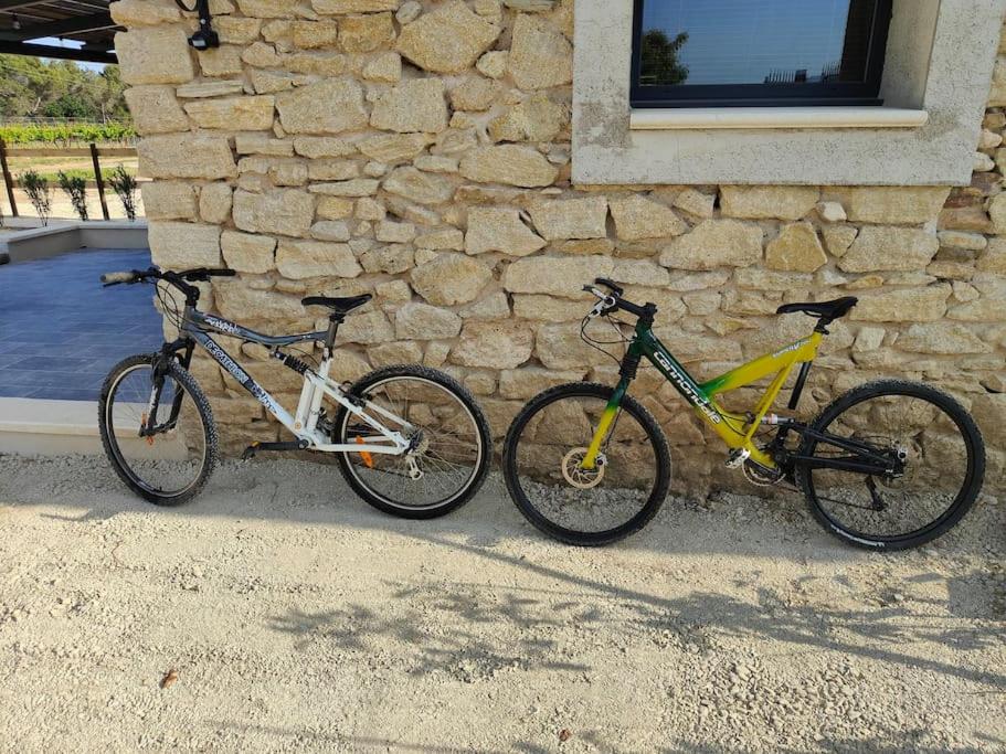 Jízda na kole v ubytování Gîte les Caunes nebo okolí