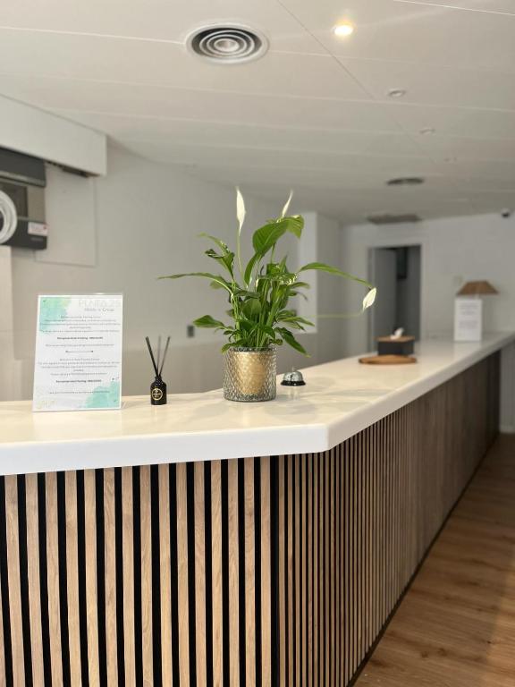 Fleming Center by Punta 25 Hotels Group - Resim 7