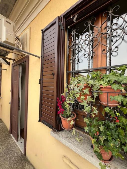 a window with potted plants on the side of a building at Casa di Fausto - CityLife Apartment in Milan
