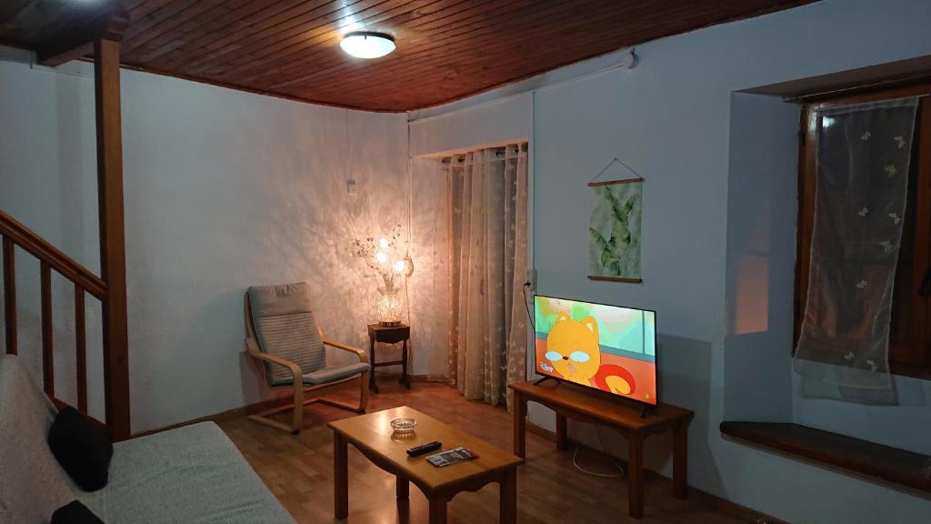 TV a/nebo společenská místnost v ubytování Les Llucanes