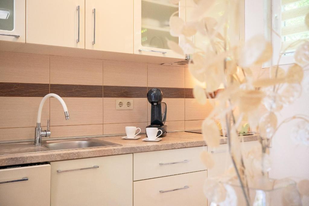 Kuchyň nebo kuchyňský kout v ubytování Apartments Edi - ZF Hvar