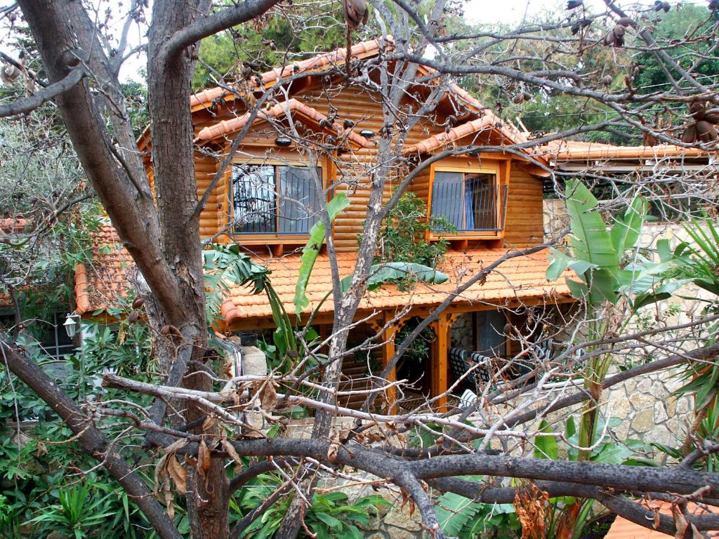 een houten huis met ramen in de bomen bij Ohn-Bar Guesthouse in Amirim