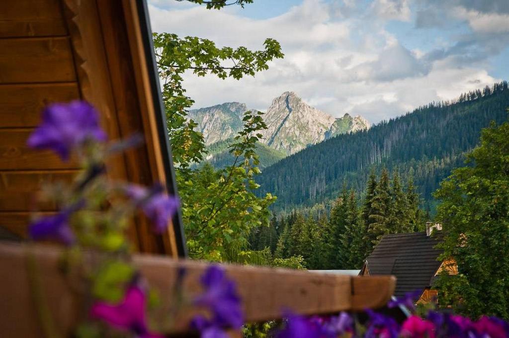 O vedere generală la munți sau o vedere la munte luată de la acest chalet