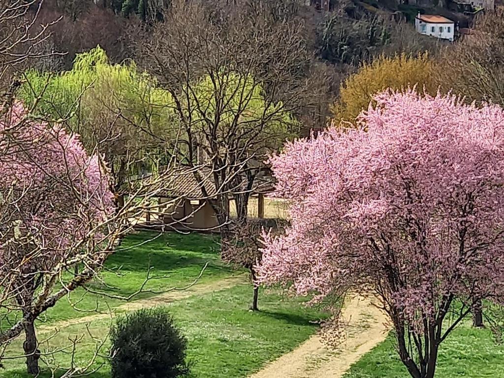 Vonkajšia záhrada v ubytovaní Gîte cosy avec jeux et terrasse à Auzon - FR-1-582-338
