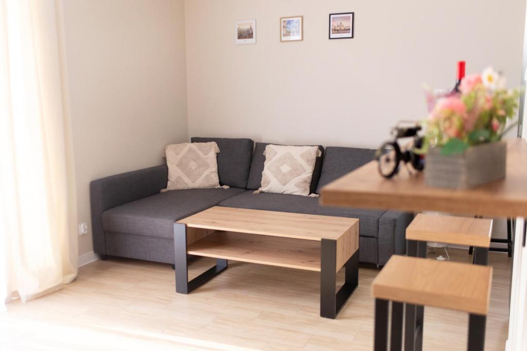 uma sala de estar com um sofá e uma mesa em Apartament Kościuszki Chorzów em Chorzów