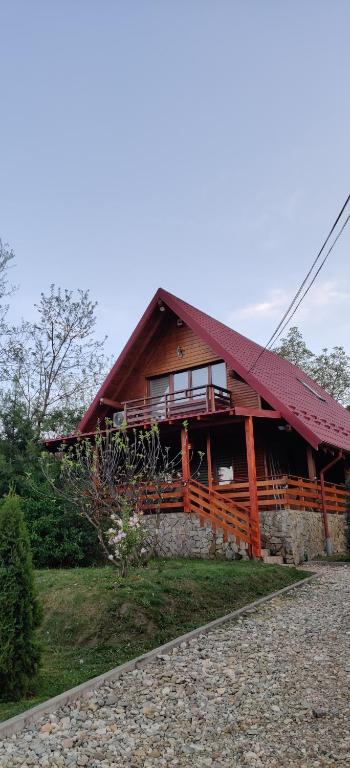 una gran casa de madera con techo rojo en Pensiunea "Vio Merisani ", en Merişani
