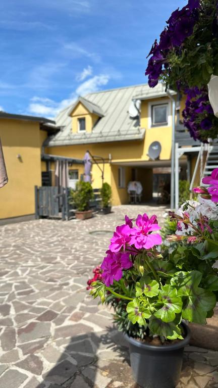 Budova, kde se apartmán nachází