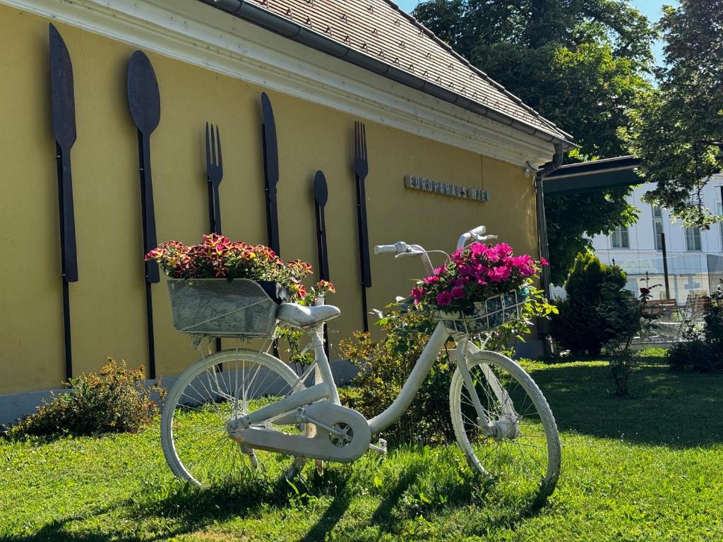 Zahrada ubytování Europahaus Wien