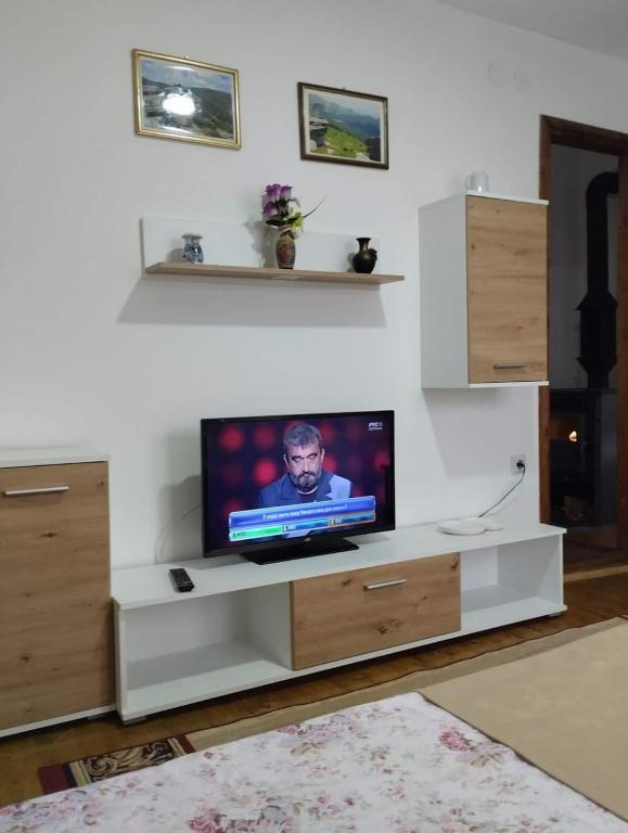 a living room with a tv on a white entertainment center at Smeštaj Pejčić Dojkinci in Pirot