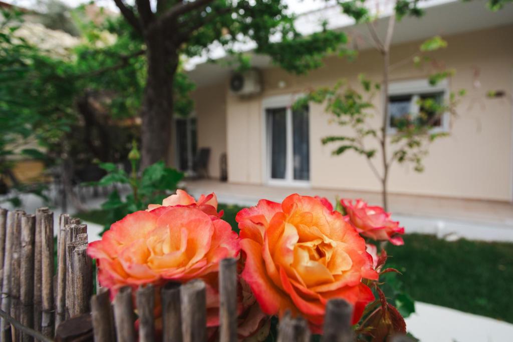 two red roses sitting on a wooden fence at LUCY APARTAMENT in Kamena Vourla