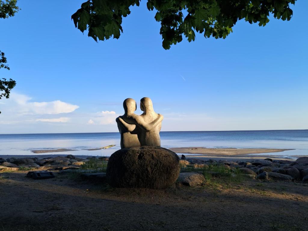 Příroda nedaleko apartmánu