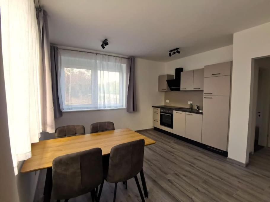 Kuchyň nebo kuchyňský kout v ubytování Privatunterkunft in Hornstein